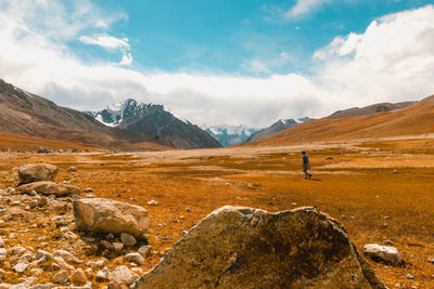 Descubre el Poder del Shilajit: Energía Natural Directa desde el Himalaya